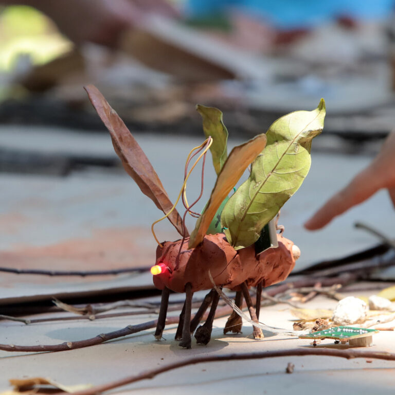 Oficina Laboratório de Insetos